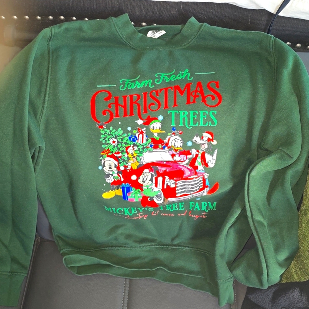 Disney Christmas sweatshirt Size Small!!